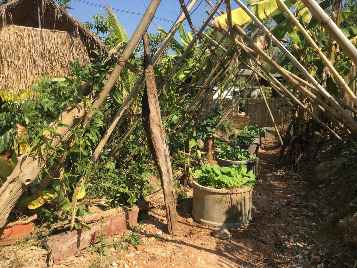 Thong Family Homestay Chiangdao Чианг Дао Экстерьер фото