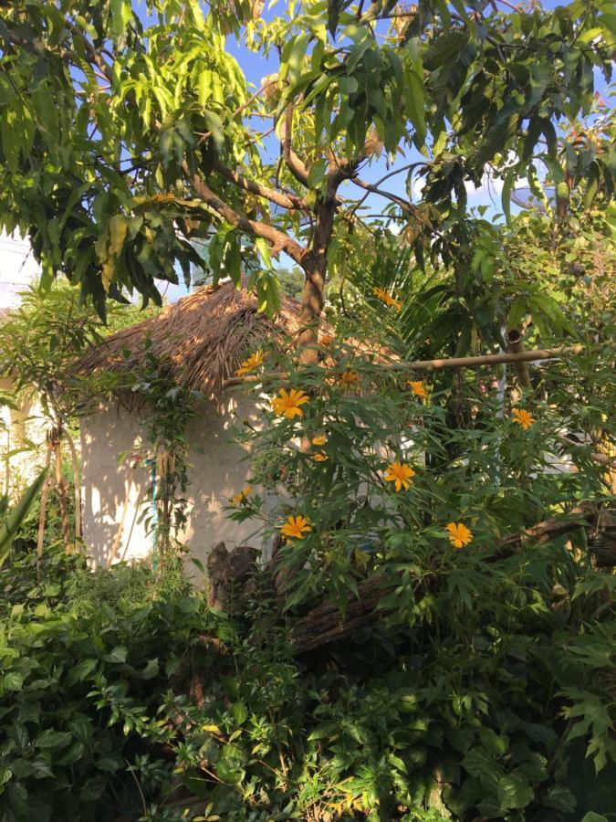Thong Family Homestay Chiangdao Чианг Дао Экстерьер фото